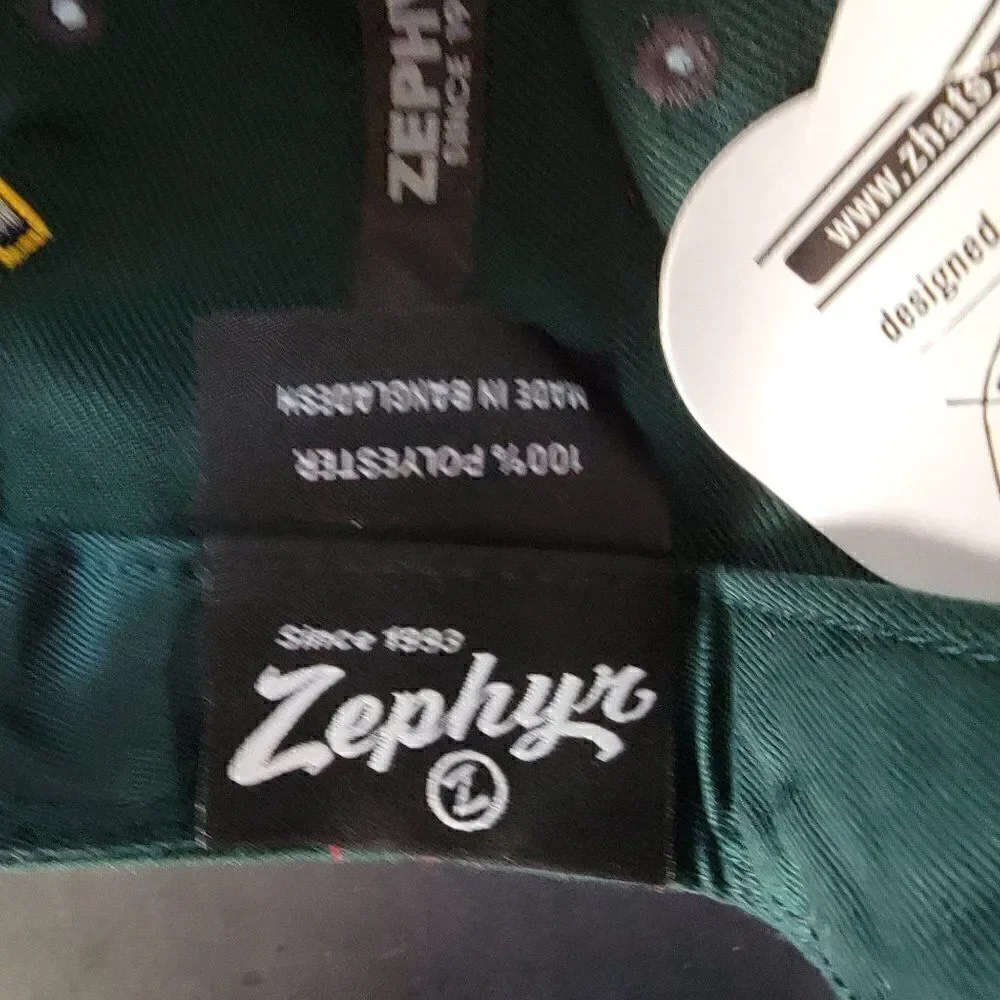 Frozen Four 2018 Green Snapback Hat by Zephyr